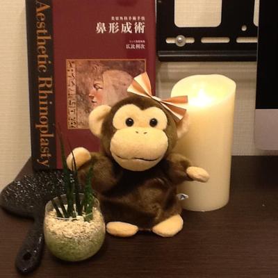 湘南美容外科 品川院のシナモン