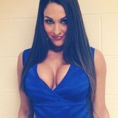 Twin @FoxyBrieMode Taken Im Nice But If Your Annoying Me Then I Will Rack Attack You Im Not Crazy (@BellaTwins Nikki's Twin) (RP/Girl/Bi)