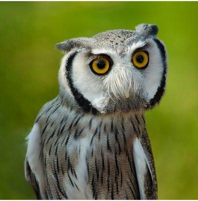 sanres88's profile picture. 