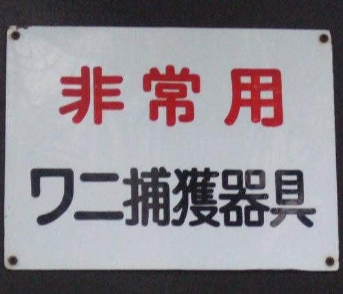 yoshiroller's profile picture. 矢樹純の夫です。うどんが好きです。