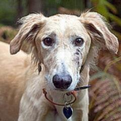 tedeadv's profile picture. Web  and Communications:
 
@teddave - Web &  IT.
@moviegoing - Culture