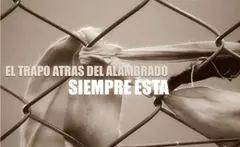 Anda a la cancha, bobo.