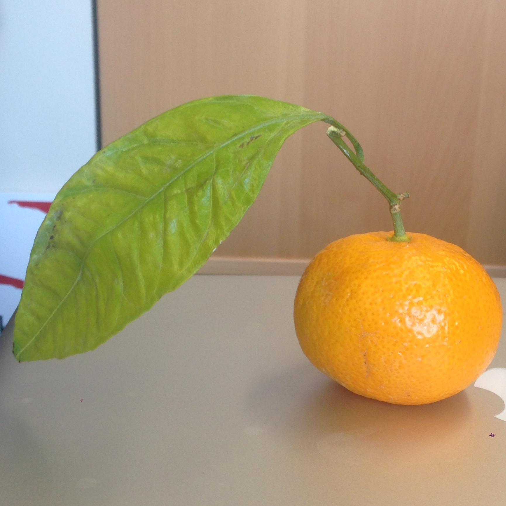 ArtEdMICA's profile picture. MICA's MAT program in Art Education engages learners through art-making, (re)search, and student-centered teaching methodologies.