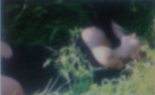 Nikki5772836's profile picture. Stop by morning Coffee, Massage,Wine/ Beer