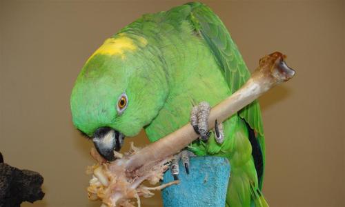 THEQUIETMINDED's profile picture. 