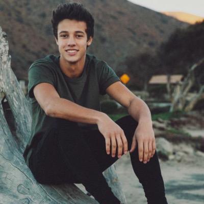 im kind of obsessed with this guy with the last name of dallas,whos a total idiot but also makes me happy