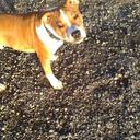 dean rae ( Judd) - @judd761 - Twitter