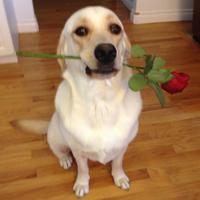 monica (@monniexo) 's Twitter Profile