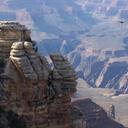 Clem Watson - @ClemsoninCola - Twitter