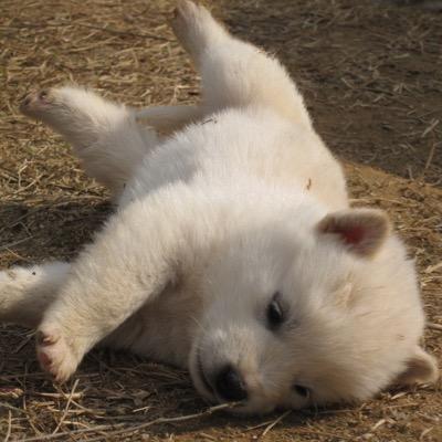 smuggler911's profile picture. 