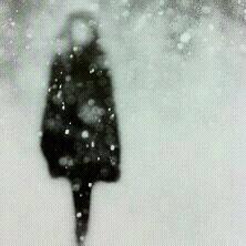 plaxbarb's profile picture. barb@plaxton.ca