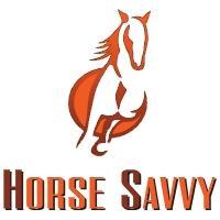 HorseSavvy80's profile picture. 360 online equestrian services and supplies