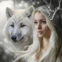  bernard renard - @renard_bernard - Twitter