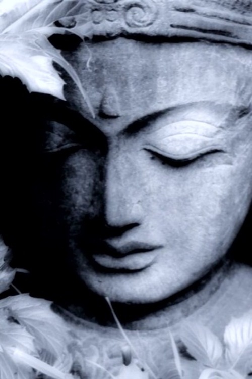 purplninja's profile picture. I don't want to mislead anyone, so please know that I am not really purple.  That is all.