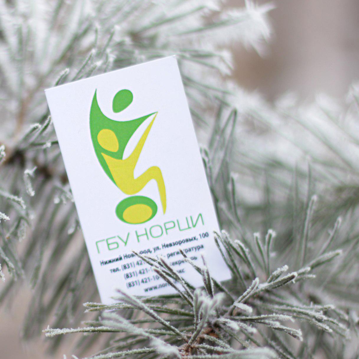 Gbu_NORCI's profile picture. Государственное бюджетное учреждение Нижегородский областной реабилитационный центр для инвалидов