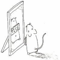 東京理科大学 Mice (@mice_tus) 's Twitter Profile