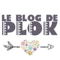 Le blog de Plok(@leblogdeplok) 's Twitter Profile Photo