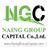 Naing Group Capital