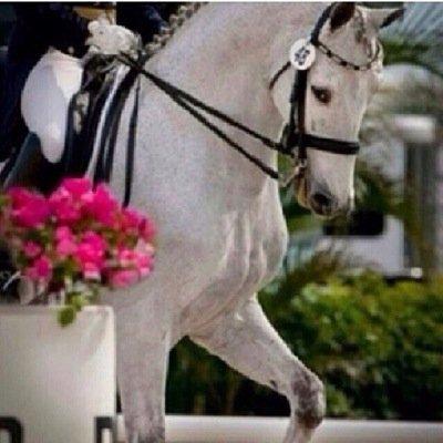 #عاصفه_الحزم