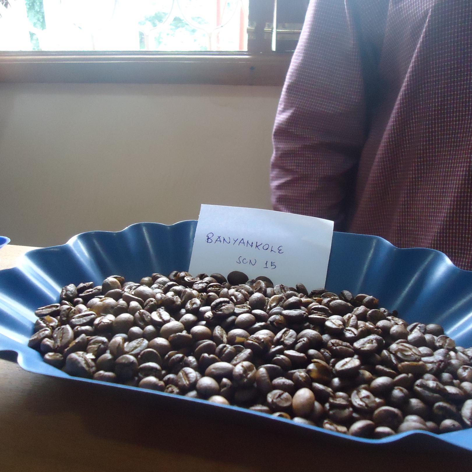 BKweterana's profile picture. 