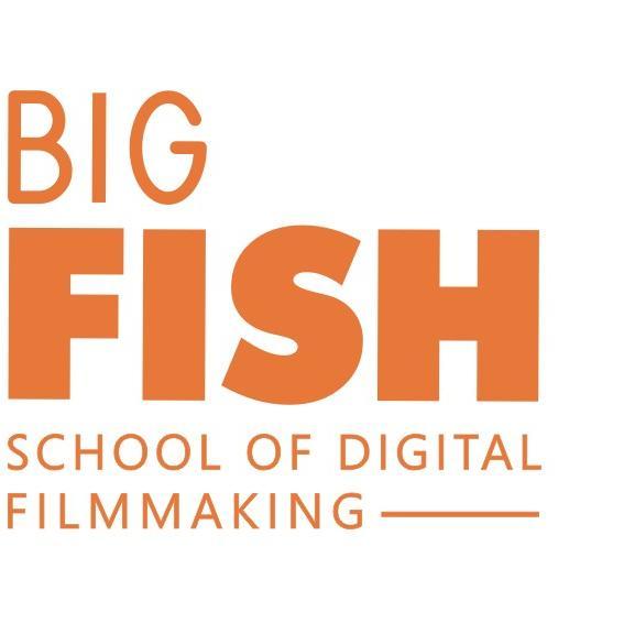 BigFish_School Profile Picture