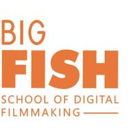BigFish (@bigfish_school) 's Twitter Profile