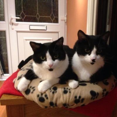 DanutaJust's profile picture. 