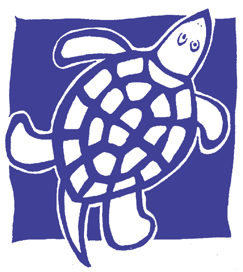 Blue Turtle Toys prides itself on offering shoppers a refreshing alternative to the big box, mass market toy retailers, both in store and online.