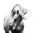 بريق الماس (@011Salmah) Twitter