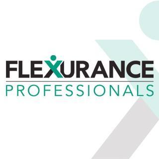 Flexurance is een landelijk werkende projectorganisatie in de Civiele techniek, Bouwkunde, Elektrotechniek en Werktuigbouwkunde.