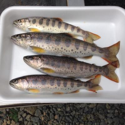 裏垢でぇす。趣味を見つけタァイ