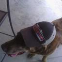 Caleb Pfeifer - @CalebP2000 - Twitter