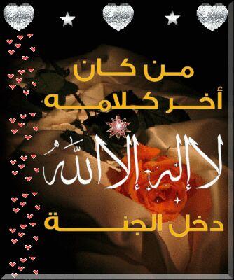 love_sakr009900's profile picture. GG