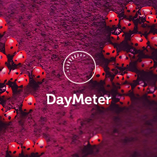DayMeter's profile picture. DayMeter is day calculator. visit this link to download application, try it and share your important days with your friends