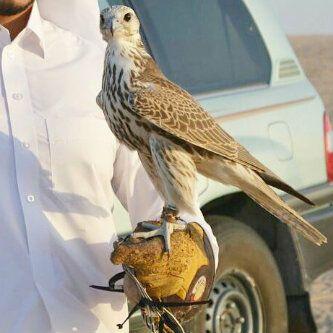 S454xx's profile picture. 