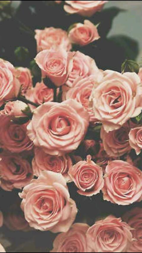 ↪o2l♥5sos♥1D♥Jai♥Magcon↩                none of my sunshines have followed yet :(