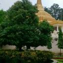 John Mendonca - @JohnbhaiM - Twitter