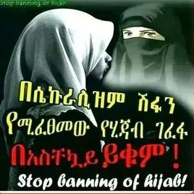 KemaleEkzk's profile picture. 