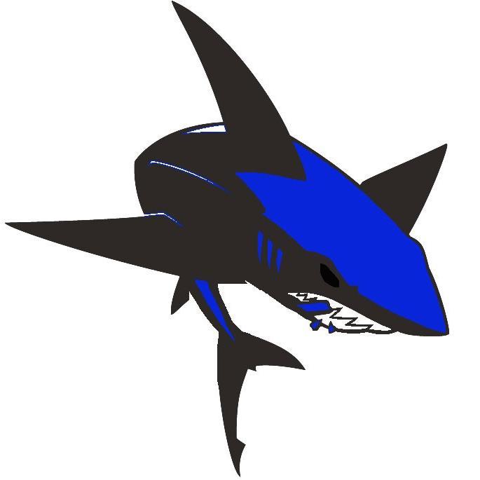 Newest team to join the NFL!