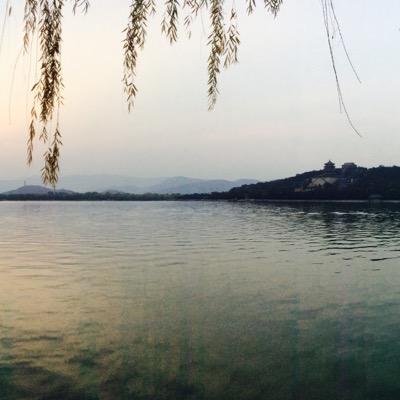 AdrainCao's profile picture. 