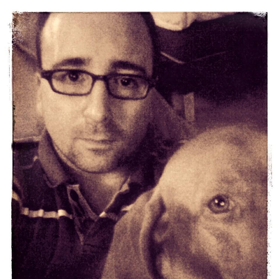 Co-founder and Developer at @sovido, poultry farmer, enthusiastic @bvb fan and dog owner