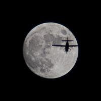 Lucserf (@lucasserfontein) 's Twitter Profile