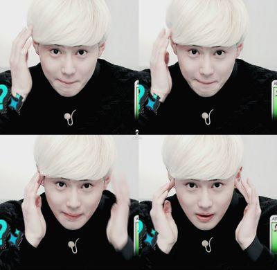 pcy bbh kjm yys jjk sjh lsm pcr cjr ksy lsj nwh