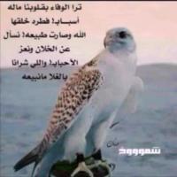 Mohammed.Alotaiby (@m_ohammed_9) 's Twitter Profile