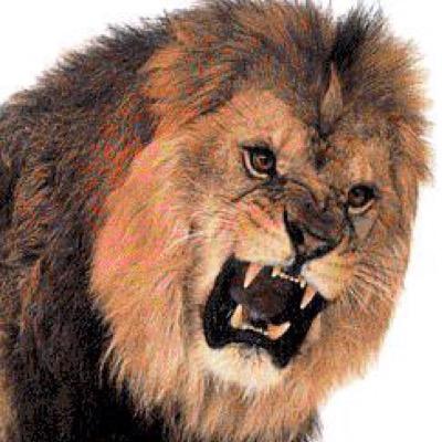 Somosomo9's profile picture. 