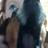 thefunnygirll's profile image
