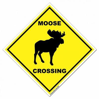 welcome to the official page for the herd, follow dang3rousmoose to join!