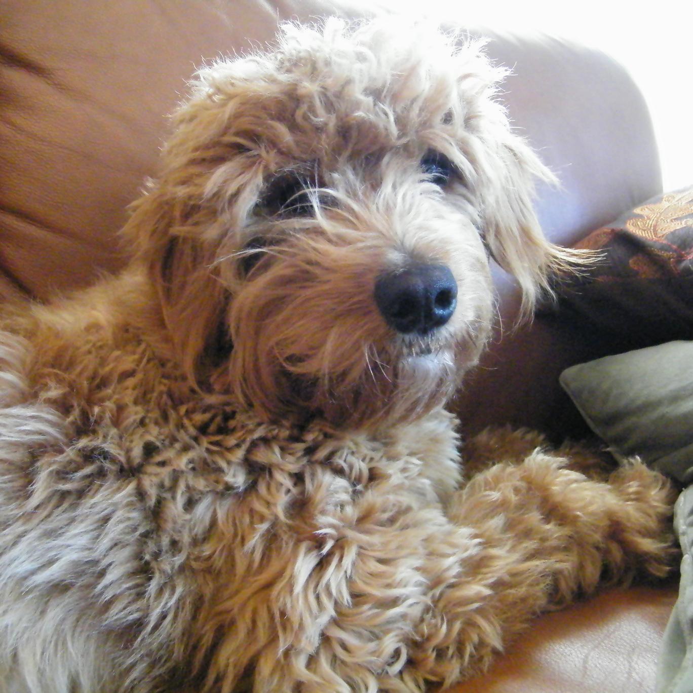 carolyn7203388's profile picture. 