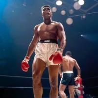 週刊少年ちゃんぷ (@punchdrunker_m) 's Twitter Profile