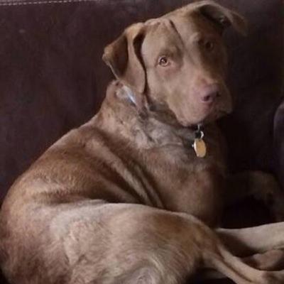 flowers_ed's profile picture. 